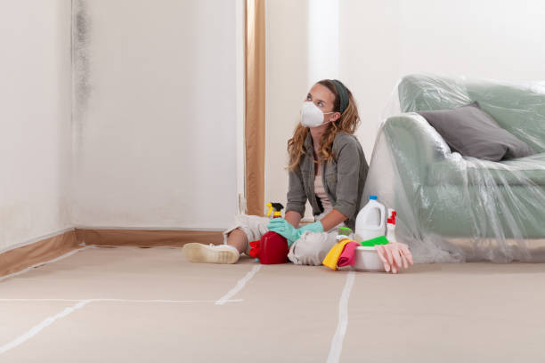 Reliable Mold Remediation contractor in District of Columbia, DC by 24 Hour Mold Removal